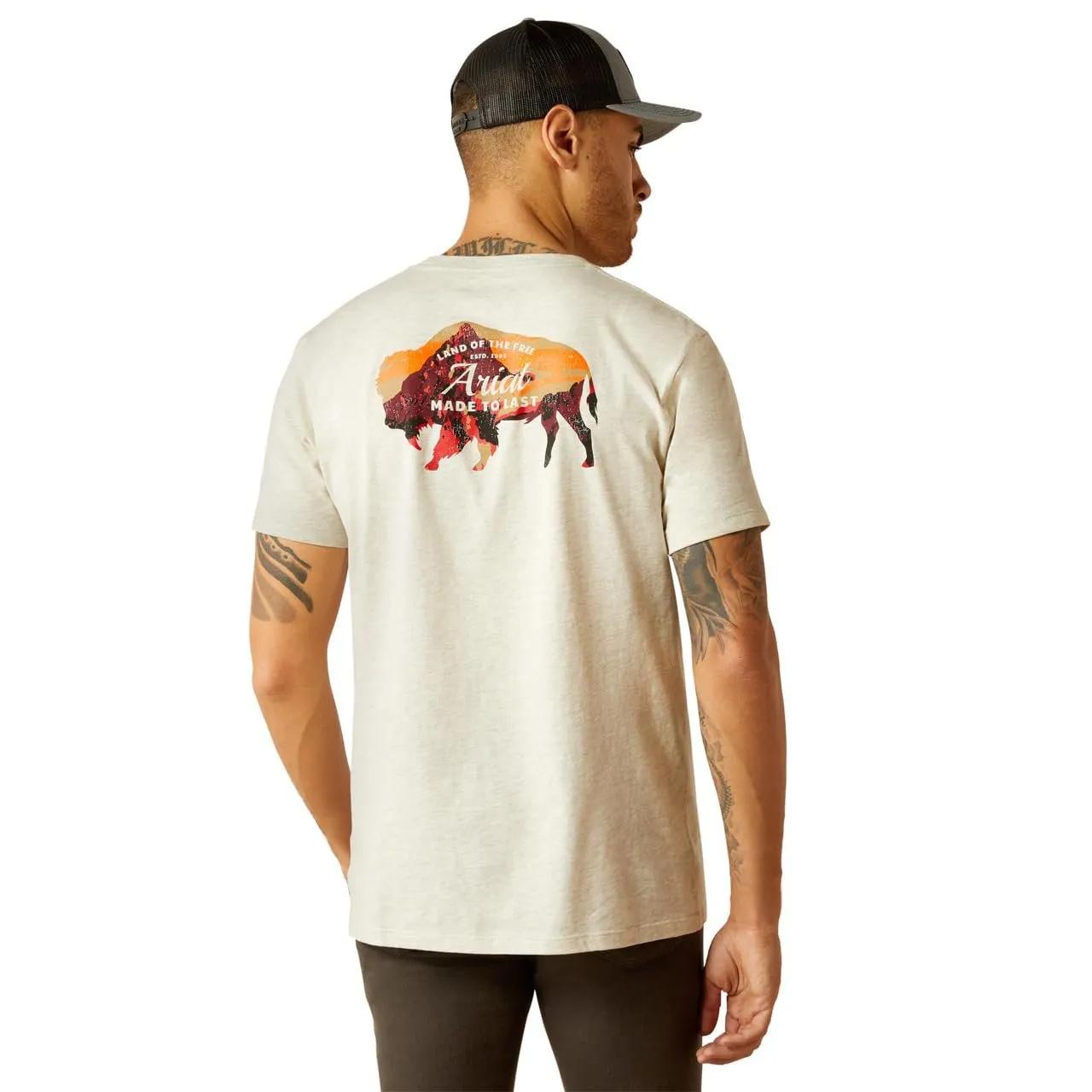 Ariat Men's Bison Landscape T-Shirt, Oatmeal Heather