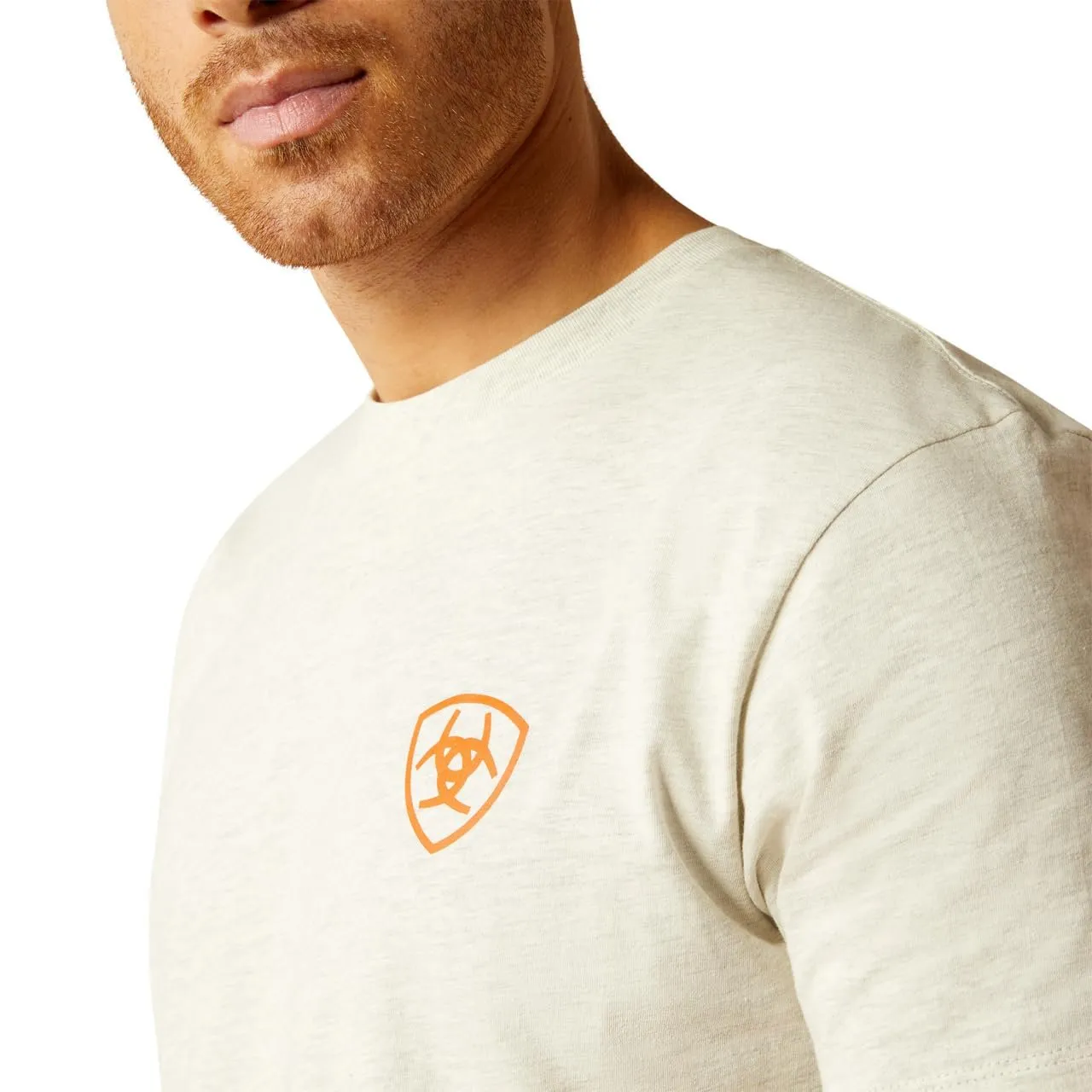 Ariat Men's Bison Landscape T-Shirt, Oatmeal Heather