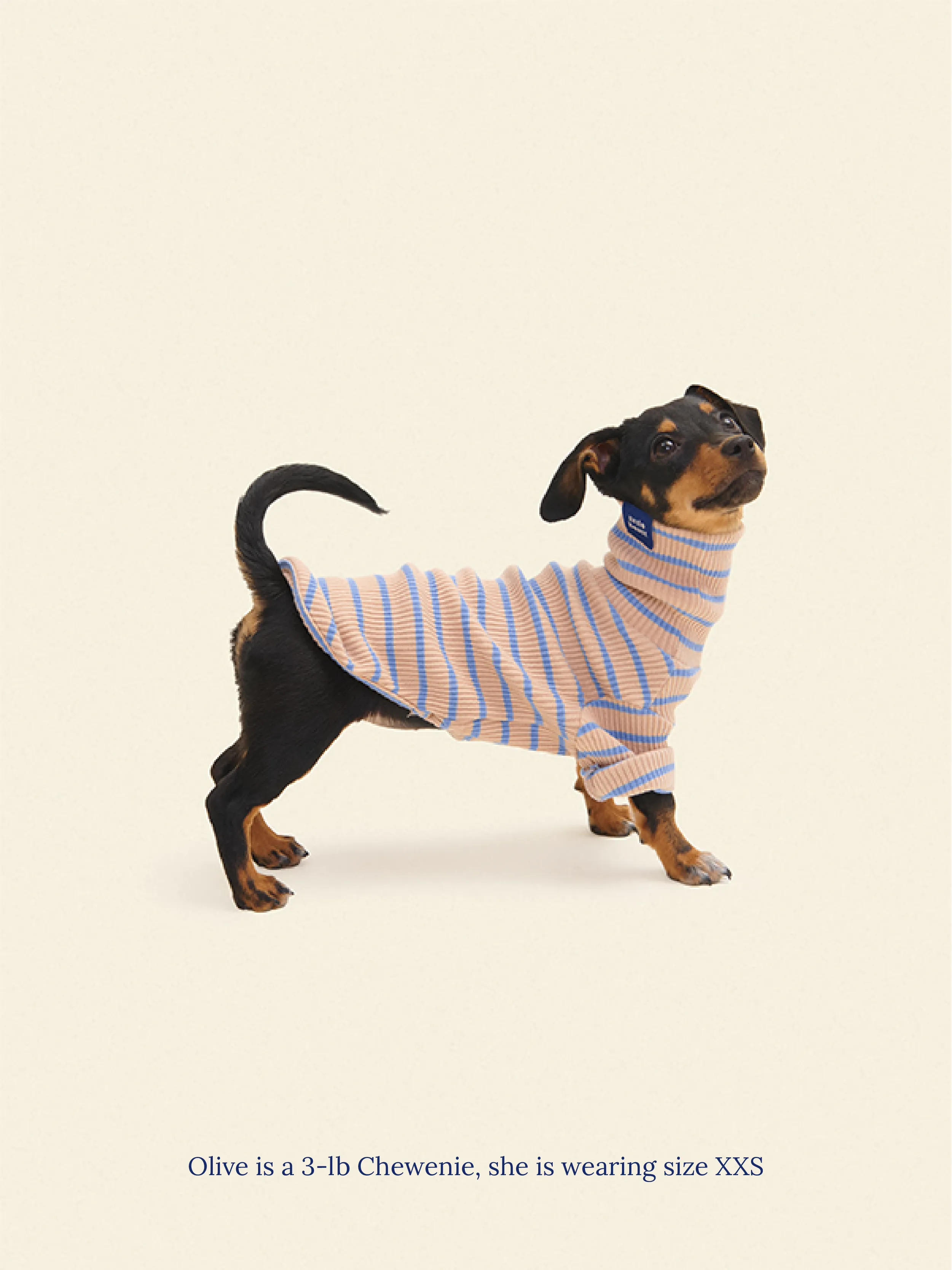 Catch Me Outside Shirt