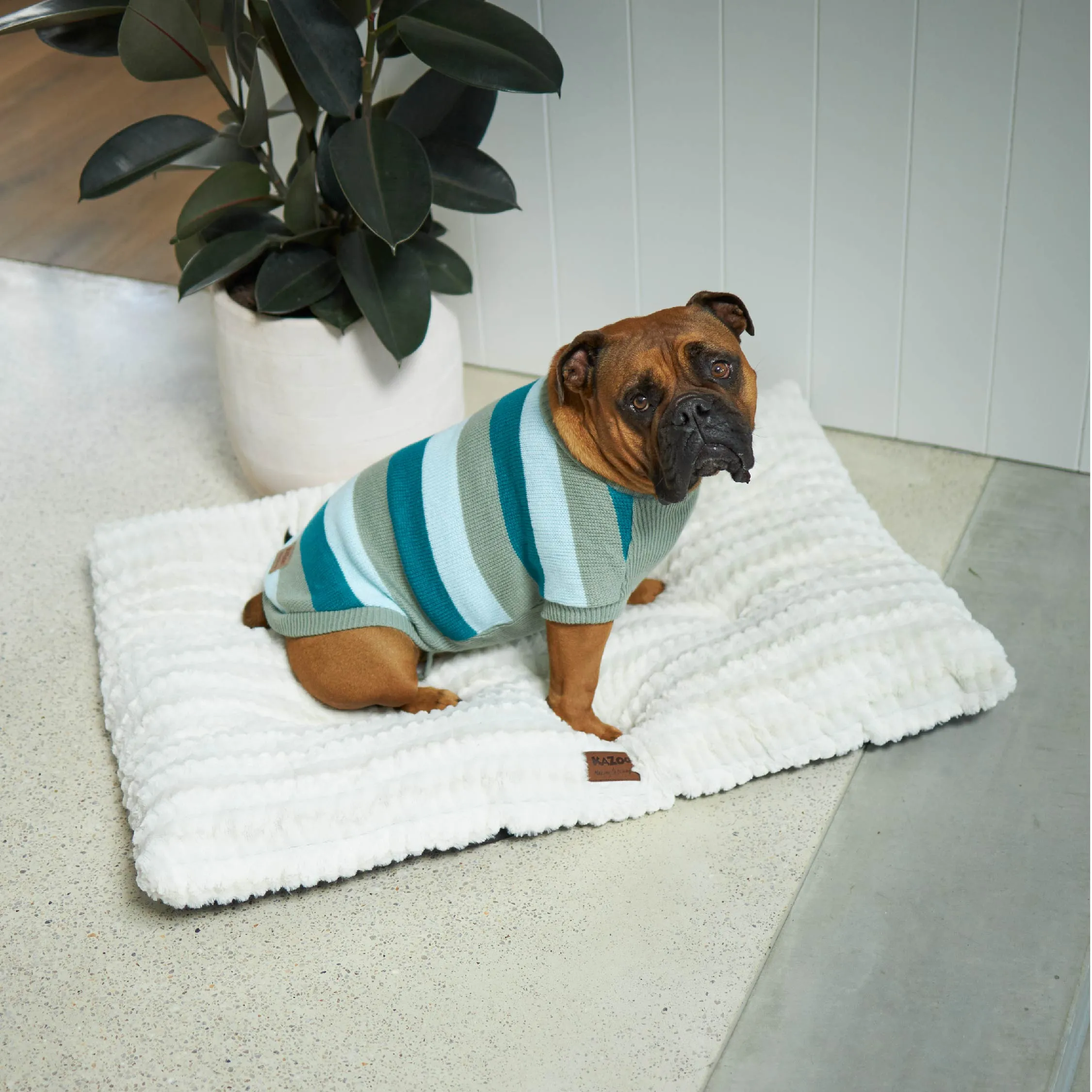 Chestie Dog Jumper - Forest