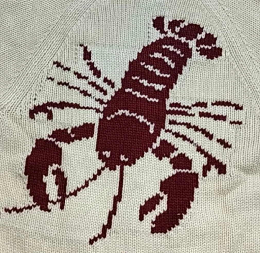 Chunky Ivory/White Lobster 🦞 Cardigan