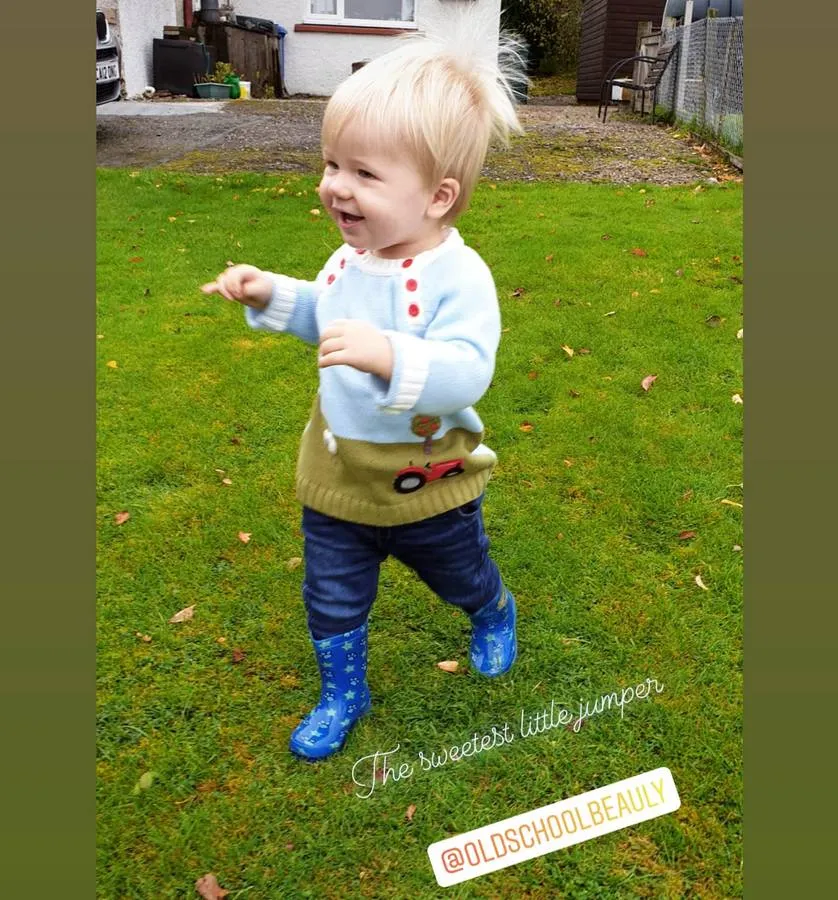 Farmyard Crew Neck Jumper