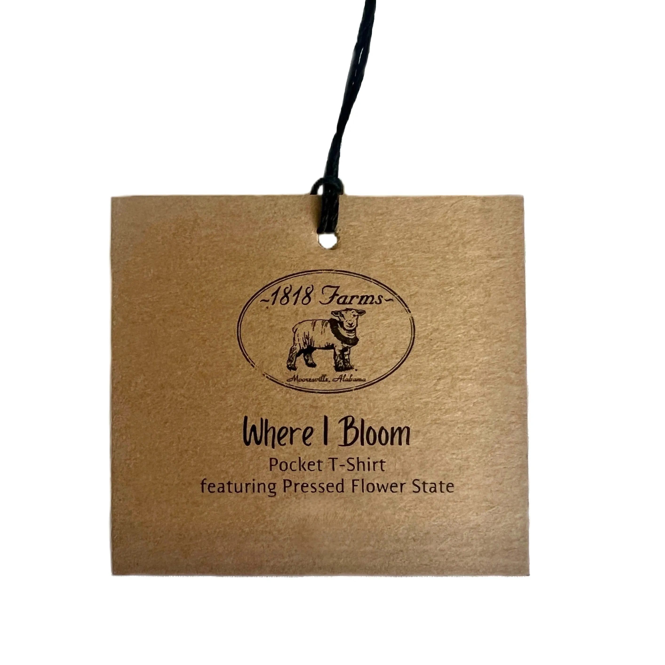 Georgia Themed Comfort Colors Tshirt - "Where I Bloom" Collection