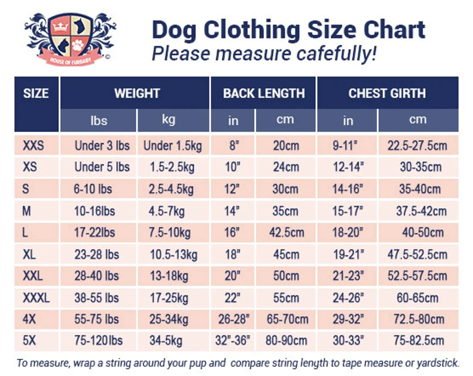 Holiday Dog Shirt | Feliz Naughty Dog