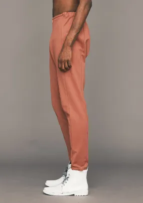 PANTS HIGH WAIST SKINNY - HEAVY STRETCH brick